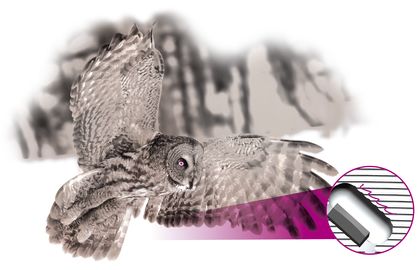 "猫头鹰翅膀"的锯齿形边缘缓和了气流，分散了噪音，飞行时几乎无声，完全不影响空气动力学。LEUCO从自然界中学习，并研发出更符合空气动力学的开料刀具，从而进一步降低噪音！LEUCO 已为 "airFace" 这一空气动力学设计申请了专利。